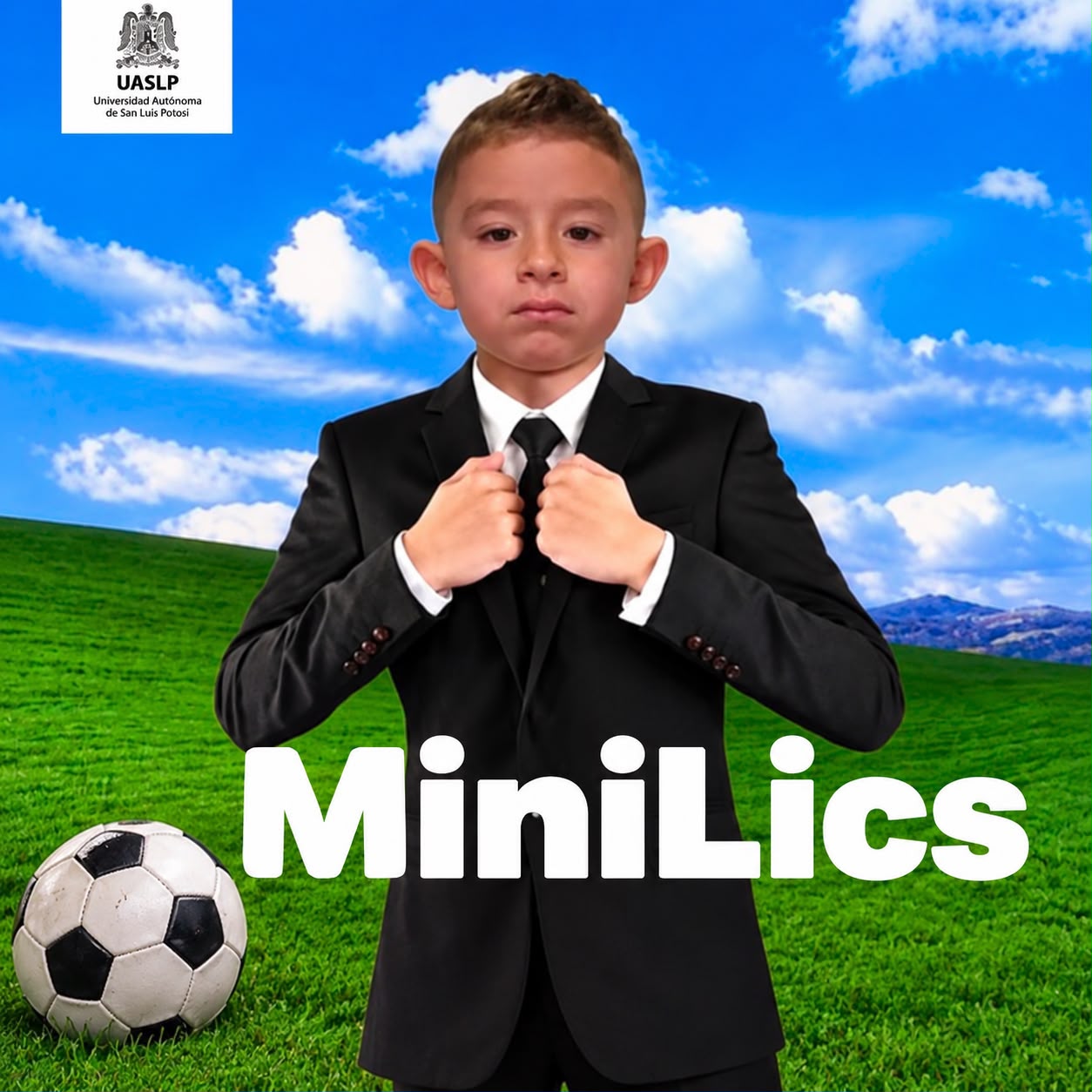 MINILICS